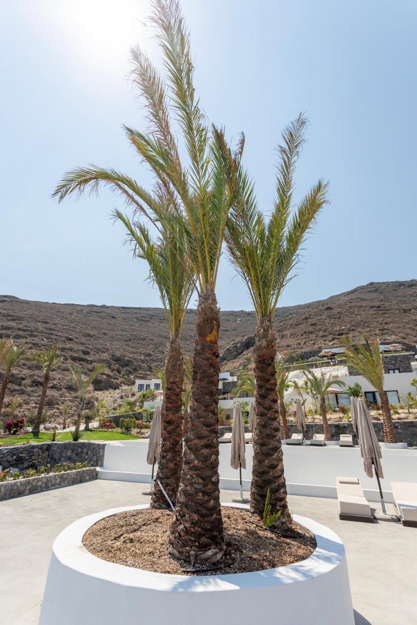 Palm Island Suites Imerovigli  Dış mekan fotoğraf